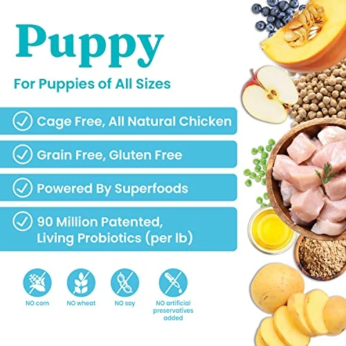 Solid Gold Dry Puppy Food - Made With Real Chicken & Nutritious Superfoods - Love At First Bark Grain Free Puppy Dry Food To Promote Healthy Growth, High Energy And Gut Wellness 2 Solid Gold Dry Puppy Food - Made With Real Chicken & Nutritious Superfoods - Love At First Bark Grain Free Puppy Dry Food To Promote Healthy Growth, High Energy And Gut Wellness - Image 2