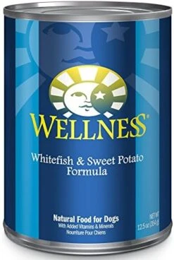 Wellness Complete Health Natural Wet Canned Dog Food Turkey & Sweet Potato, 12.5-Ounce Can (Pack Of 12) -Dog Supplies Store 51Y918U4BL. AC