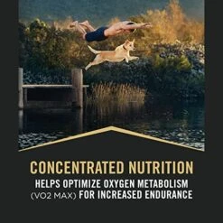 Purina Pro Plan High Calorie, High Protein Dry Dog Food, 30/20 Chicken & Rice Formula - 48 Lb. Bag -Dog Supplies Store 51YzVoNVf7L