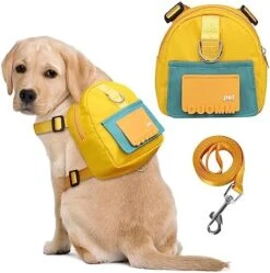 DoggieKit Dog Backpack Harness With Leash,Cute Pet Puppy Backpacks Bulid-in Dog Poop Bag Dispenser,Adjustable Pets Self Carrier Bag For Small Medium Dogs Travel Hiking Daily Walking(M, Green) -Dog Supplies Store 51ZCK4OFr6L. AC 1