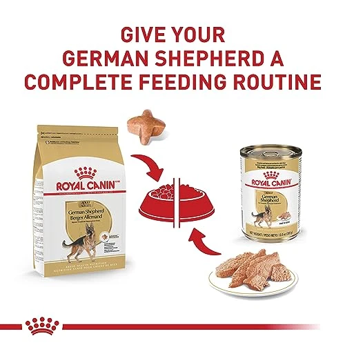 Royal Canin German Shepherd Adult Dry Dog Food, 17 Lb Bag 5 Royal Canin German Shepherd Adult Dry Dog Food, 17 Lb Bag - Image 5