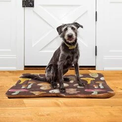 Poeticcity Mushrooms Natural Fungus Mushrooming Organic Food On Brown Dog Cat Bed Mat, Soft Crate Pad Mattress Cushion For Small Medium Pets, Anti Slip Sleeping Kennel Mat Washable & Dry 24x18 Inch 20 Poeticcity Mushrooms Natural Fungus Mushrooming Organic Food On Brown Dog Cat Bed Mat, Soft Crate Pad Mattress Cushion For Small Medium Pets, Anti Slip Sleeping Kennel Mat Washable & Dry 24x18 Inch -Dog Supplies Store 51d7nm7bofL