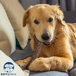 Antler Dog Chew From Pet Expertise, Gigantic 12-14" Long, 1 Piece -Dog Supplies Store 51dBIqGJdrS