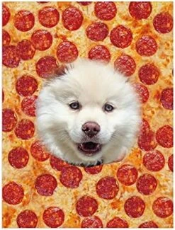 Novgarden Funny Custom Dog Blanket, Flannel Personalized Picture Blanket With Bone/Paw/Pizza/Fries/Hamburger Pattern Food Blanket Puppy Dog Memorial Gifts -Dog Supplies Store 51eGMWbnytL. AC