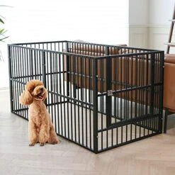 RYPetmia Dog Playpen|31.5" Height Dog Fence Heavy Duty Exercise Pen, 31"- 63" Inch Extendable, Safe And Sturdy, Easy Assemble, Easy To Assemble For Outdoor Indoor (Roof) 11 RYPetmia Dog Playpen|31.5" Height Dog Fence Heavy Duty Exercise Pen, 31"- 63" Inch Extendable, Safe And Sturdy, Easy Assemble, Easy To Assemble For Outdoor Indoor (Roof) -Dog Supplies Store 51eKq6C5hL. AC