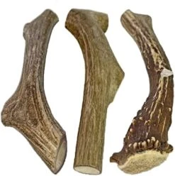 WhiteTail Naturals | 3 Pack Medium | Deer Antler Dog Chews | All Natural Organic Antlers For Dogs | Long Lasting Antler Bones For Dogs | Durable Antler Dog Toy -Dog Supplies Store 51grUVSYsL. AC