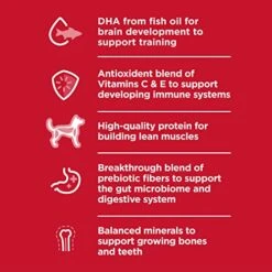 Hill's Science Diet Puppy Small Bites Chicken Meal & Brown Rice Recipe Dry Dog Food, 12.5 Lb. Bag -Dog Supplies Store 51h8dUbO1lL