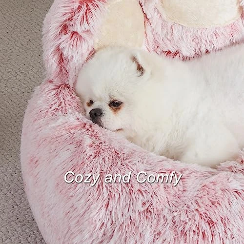 Jiupety Dog Bed With Standing Paws | Upgraded Soothing Paw Dog Bed | Cozy Comfy Small Dog Bed | Creative Dog Donut Bed With Bear Paws | Pink L Size 26”X26”X8” | Pet Paw Dog Bed For Small Dogs 4 Jiupety Dog Bed With Standing Paws | Upgraded Soothing Paw Dog Bed | Cozy Comfy Small Dog Bed | Creative Dog Donut Bed With Bear Paws | Pink L Size 26”X26”X8” | Pet Paw Dog Bed For Small Dogs - Image 4