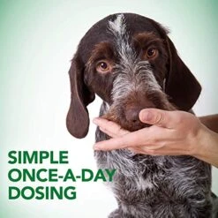 Vet's Best Probiotic Soft Chews Dog Supplements | Supports Dog Digestive Health | Promotes A Healthy Gut | 30 Day Supply 11 Vet's Best Probiotic Soft Chews Dog Supplements | Supports Dog Digestive Health | Promotes A Healthy Gut | 30 Day Supply -Dog Supplies Store 51ic9W1v24L