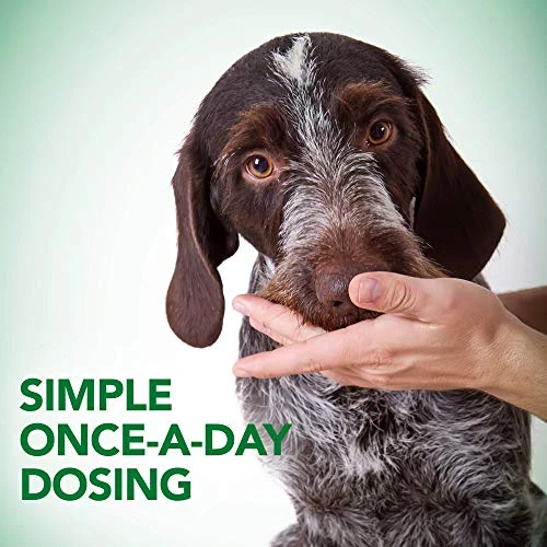 Vet's Best Probiotic Soft Chews Dog Supplements | Supports Dog Digestive Health | Promotes A Healthy Gut | 30 Day Supply 4 Vet's Best Probiotic Soft Chews Dog Supplements | Supports Dog Digestive Health | Promotes A Healthy Gut | 30 Day Supply - Image 4