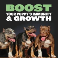 Bully Max Puppy Bundle Pack, High Protein & Growth Puppy Food, Immunity Soft Chews For Growth, Dog Supplements Plus Food 8 Bully Max Puppy Bundle Pack, High Protein & Growth Puppy Food, Immunity Soft Chews For Growth, Dog Supplements Plus Food -Dog Supplies Store 51iwPh7ZjFL