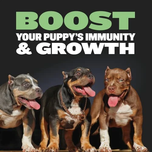 Bully Max Puppy Bundle Pack, High Protein & Growth Puppy Food, Immunity Soft Chews For Growth, Dog Supplements Plus Food 3 Bully Max Puppy Bundle Pack, High Protein & Growth Puppy Food, Immunity Soft Chews For Growth, Dog Supplements Plus Food - Image 3