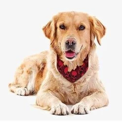 GENERIC Red Skulls On Dark Texture Background Dog Bandana,Dog Bandanas Triangle Bibs Scarf Accessories Minimal Head Cicumference -Dog Supplies Store 51kGeVio1dL