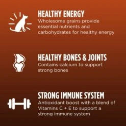 Iams Advanced Health Immune Health Chicken & Superfoods Recipe Adult Dry Dog Food, 13.5 Lb. Bag -Dog Supplies Store 51kmN9eDoZL