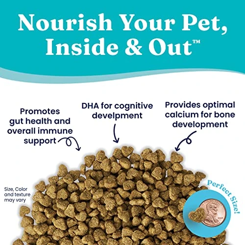 Solid Gold Dry Puppy Food - Made With Real Chicken & Nutritious Superfoods - Love At First Bark Grain Free Puppy Dry Food To Promote Healthy Growth, High Energy And Gut Wellness 3 Solid Gold Dry Puppy Food - Made With Real Chicken & Nutritious Superfoods - Love At First Bark Grain Free Puppy Dry Food To Promote Healthy Growth, High Energy And Gut Wellness - Image 3