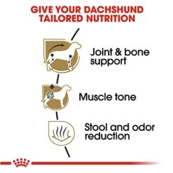 Royal Canin Dachshund Adult Breed Specific Dry Dog Food, 10 Lb Bag -Dog Supplies Store 51nFnlhkaDL