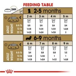Royal Canin Dachshund Puppy Breed Specific Dry Dog Food, 2.5 Lb. Bag 6 Royal Canin Dachshund Puppy Breed Specific Dry Dog Food, 2.5 Lb. Bag -Dog Supplies Store 51ngDOdPJIL