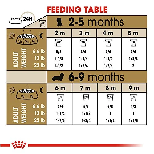 Royal Canin Dachshund Puppy Breed Specific Dry Dog Food, 2.5 Lb. Bag 3 Royal Canin Dachshund Puppy Breed Specific Dry Dog Food, 2.5 Lb. Bag - Image 3