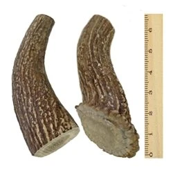 WhiteTail Naturals | Deer Antlers For Large Dogs (2 Pack- Jumbo XXL) All Natural Antler Dog Chew | Naturally Shed, Long Lasting Chew Bone, Made In USA -Dog Supplies Store 51q0t8hKn7L