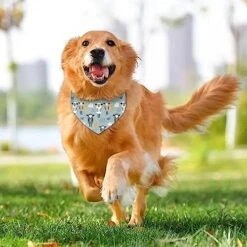 GENERIC Cute Sleeping Sheep Moon Clouds Dog Bandana,Dog Bandanas Triangle Bibs Scarf Accessories Minimal Head Cicumference -Dog Supplies Store 51qapAB8t7L