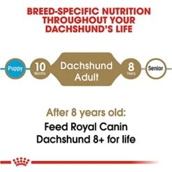 Royal Canin Dachshund Adult Breed Specific Dry Dog Food, 10 Lb Bag -Dog Supplies Store 51qjLhg6aFL