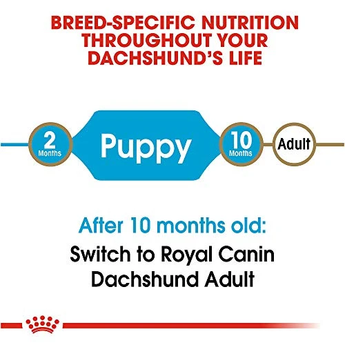 Royal Canin Dachshund Puppy Breed Specific Dry Dog Food, 2.5 Lb. Bag 2 Royal Canin Dachshund Puppy Breed Specific Dry Dog Food, 2.5 Lb. Bag - Image 2
