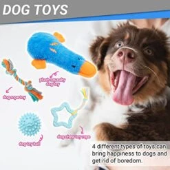 Puppy Starter Kit For Small Dog - 26 Pcs Dog Toys, Collar, Leash, Puppy Training Cilcker, Treat Bag, Poop Waste Bag With Dispenser, Blanket, Grooming Glove, Food Bowls, Toothbrush, ID Tag, Etc 9 Puppy Starter Kit For Small Dog - 26 Pcs Dog Toys, Collar, Leash, Puppy Training Cilcker, Treat Bag, Poop Waste Bag With Dispenser, Blanket, Grooming Glove, Food Bowls, Toothbrush, ID Tag, Etc -Dog Supplies Store 51rn68pDnqL