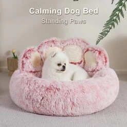 Jiupety Dog Bed With Standing Paws | Upgraded Soothing Paw Dog Bed | Cozy Comfy Small Dog Bed | Creative Dog Donut Bed With Bear Paws | Pink L Size 26”X26”X8” | Pet Paw Dog Bed For Small Dogs 12 Jiupety Dog Bed With Standing Paws | Upgraded Soothing Paw Dog Bed | Cozy Comfy Small Dog Bed | Creative Dog Donut Bed With Bear Paws | Pink L Size 26”X26”X8” | Pet Paw Dog Bed For Small Dogs -Dog Supplies Store 51ruGl5v10L