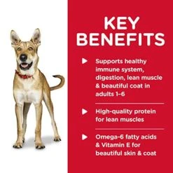 Hill's Science Diet Wet Dog Food, Adult 1-6, Beef & Barley Entrée, 13 Ounce (Pack Of 12)