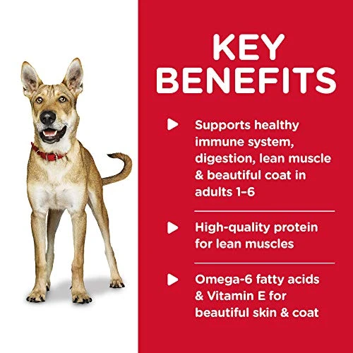 Hill's Science Diet Wet Dog Food, Adult 1-6, Beef & Barley Entrée, 13 Ounce (Pack Of 12) 1 Hill's Science Diet Wet Dog Food, Adult 1-6, Beef & Barley Entrée, 13 Ounce (Pack Of 12)