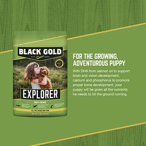 Black Gold Explorer Puppy Recipe Dry Dog Food, Chicken, 40 Pounds 4 Black Gold Explorer Puppy Recipe Dry Dog Food, Chicken, 40 Pounds - Image 4