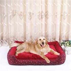 Stripes Pet Bed Simple Cute Keep Warm Pet House For Small And Medium Dog And Cat Pet Supplies Accessories 17 Stripes Pet Bed Simple Cute Keep Warm Pet House For Small And Medium Dog And Cat Pet Supplies Accessories -Dog Supplies Store 51tpGvOKVrL