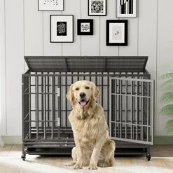 Tuanlove 48" Dog Crate Heavy Duty Indestructible Dog Crate, High Anxiety Dog Crate With Lockable Wheels Double Doors & Locks Design, Removable Tray Design, Upgraded (Silver) 19 Tuanlove 48" Dog Crate Heavy Duty Indestructible Dog Crate, High Anxiety Dog Crate With Lockable Wheels Double Doors & Locks Design, Removable Tray Design, Upgraded (Silver) -Dog Supplies Store 51u87apHpQL. AC