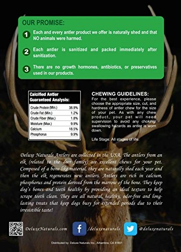 Deluxe Naturals Elk Antler Chews For Dogs | Naturally Shed USA Collected Elk Antlers | All Natural A-Grade Premium Elk Antler Dog Chews | Product Of USA, 1-LB Pack Large Cuts 6 Deluxe Naturals Elk Antler Chews For Dogs | Naturally Shed USA Collected Elk Antlers | All Natural A-Grade Premium Elk Antler Dog Chews | Product Of USA, 1-LB Pack Large Cuts - Image 6
