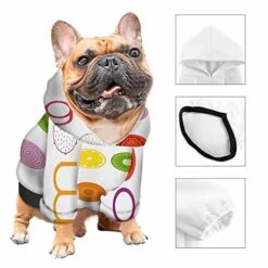 AOYEGO Good Food Good Mood Dog Cat Hoodie Pet Clothes Sliced Cucumber Beetroot Kiwi Fruit Lemon Tomato Colorful Stylish Streetwear Polyester Sweatshirt Large -Dog Supplies Store 51uXLHDyGmL