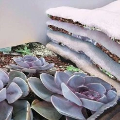 GENERIC Yellow Dog Bed Mat Breakfast Food Cartoon Like Image Puppy Dog Blanket Pet Blanket Small Dog Indoor Cat Kitten Fast Food Dessert 18" X 22" 29 GENERIC Yellow Dog Bed Mat Breakfast Food Cartoon Like Image Puppy Dog Blanket Pet Blanket Small Dog Indoor Cat Kitten Fast Food Dessert 18" X 22" -Dog Supplies Store 51wLFwiXKNL. AC