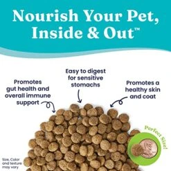 Solid Gold Leaping Waters - Dry Dog Food For Sensitive Stomach - Grain & Gluten Free - With Salmon & Vegetables - Digestive Probiotics For Gut Health - Omega, Superfood & Antioxidant Support For Dogs -Dog Supplies Store 51wrgdL4HtL