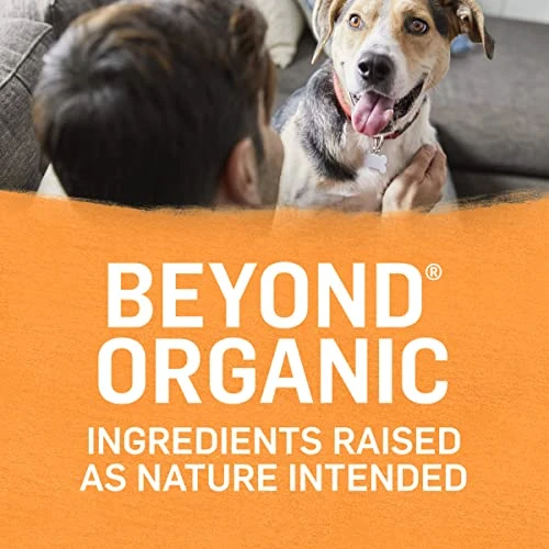 Purina Beyond Organic Wet Dog Food, Organic Chicken & Carrot Adult Recipe Ground Entrée With Broth - (12) 13 Oz. Cans 3 Purina Beyond Organic Wet Dog Food, Organic Chicken & Carrot Adult Recipe Ground Entrée With Broth - (12) 13 Oz. Cans - Image 3