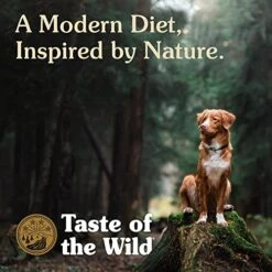 Taste Of The Wild Grain Free High Protein Real Meat Recipe Pine Forest Premium Dry Dog Food 14 Taste Of The Wild Grain Free High Protein Real Meat Recipe Pine Forest Premium Dry Dog Food -Dog Supplies Store 51yecZPZmKL
