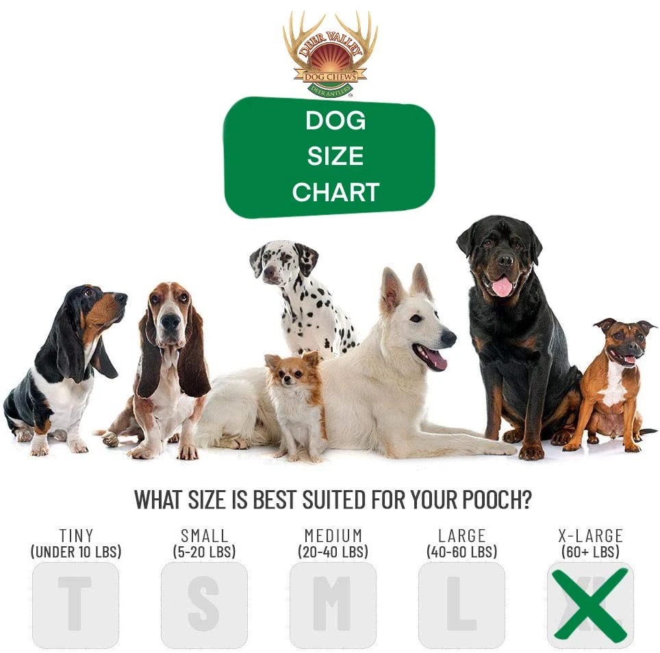 Deer Valley Dog Chews - XL & Robust 3 Pack (1lb) For Large Dogs (40-100 Lb) - All-Natural, Odor-Free Dental Treats For Healthy Teeth And Gums (Value Pack) 4 Deer Valley Dog Chews - XL & Robust 3 Pack (1lb) For Large Dogs (40-100 Lb) - All-Natural, Odor-Free Dental Treats For Healthy Teeth And Gums (Value Pack) - Image 4