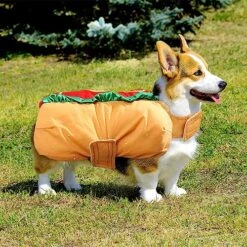 POPETPOP Hot Dog Costume- Funny Hot Dog Pet Cosplay Clothes Halloween Outfit Christmas Party Decorations For Puppies And Kitten（ Size M） -Dog Supplies Store 61DnwG9SZWL