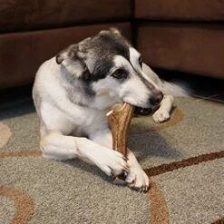 EcoKind Pet Treats Premium Elk Antlers For Dogs – Natural Antler Dog Treats – Healthy & Long-Lasting Dog Antler Tips – Odorless & Delicious – No Chemicals – 4 Pack -Dog Supplies Store 61RwpZ3in1L