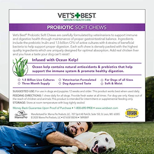 Vet's Best Probiotic Soft Chews Dog Supplements | Supports Dog Digestive Health | Promotes A Healthy Gut | 30 Day Supply 6 Vet's Best Probiotic Soft Chews Dog Supplements | Supports Dog Digestive Health | Promotes A Healthy Gut | 30 Day Supply - Image 6