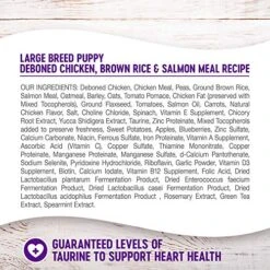 Wellness Complete Health Large Breed Dry Dog Puppy Food With Grains, Natural Ingredients, Made In USA With Real Meat (Puppy, Chicken, Salmon & Rice, 30-Pound Bag) 10 Wellness Complete Health Large Breed Dry Dog Puppy Food With Grains, Natural Ingredients, Made In USA With Real Meat (Puppy, Chicken, Salmon & Rice, 30-Pound Bag) -Dog Supplies Store 61cTwJ20xCL