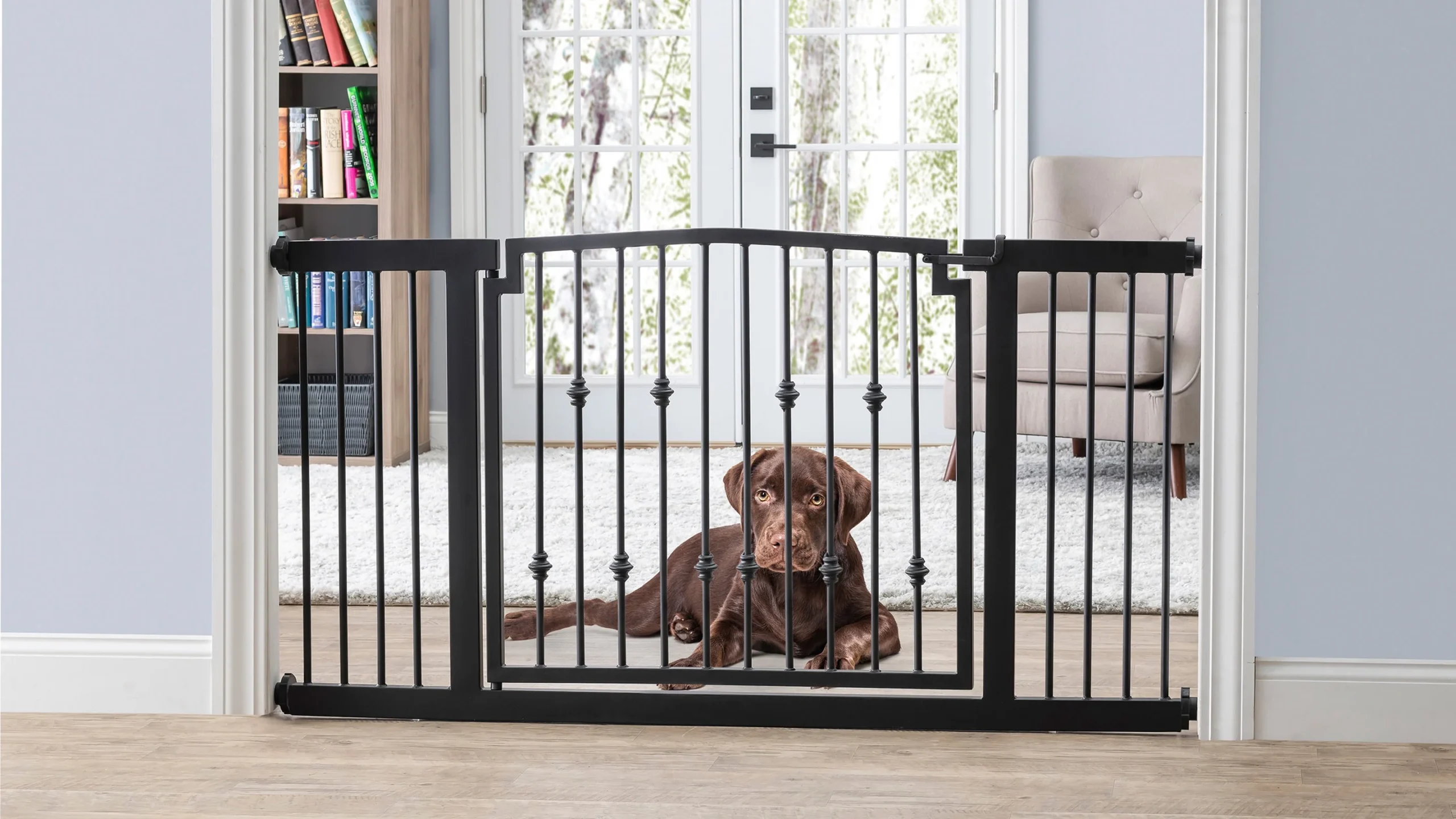 Dog Supplies Store -Dog Supplies Store NMN Designs Emperor Rings Extra Wide Gate 2 3ad315fa 6b49 4fa2 9c76 ad11d187afb0 scaled